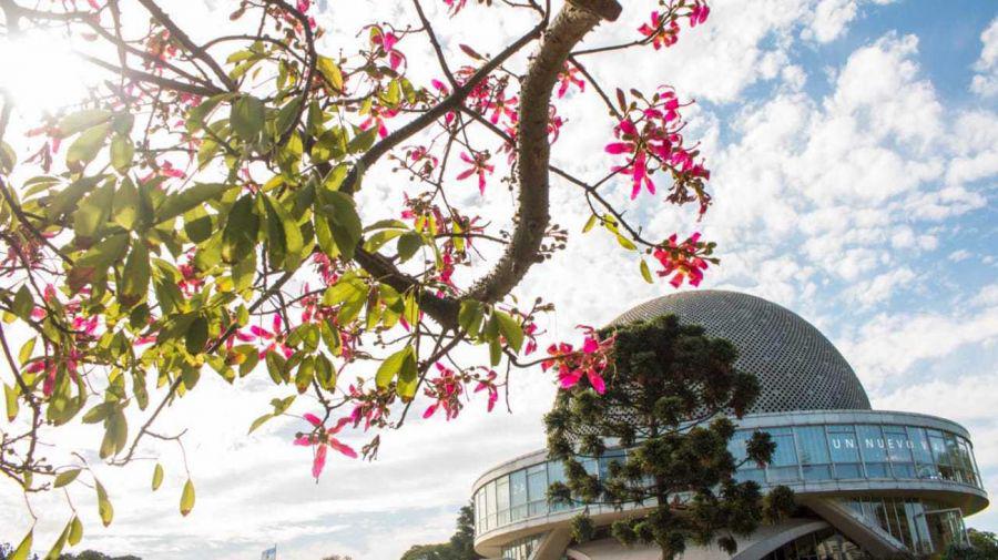 vacaciones-de-invierno-con-protocolos-20210716-1205136