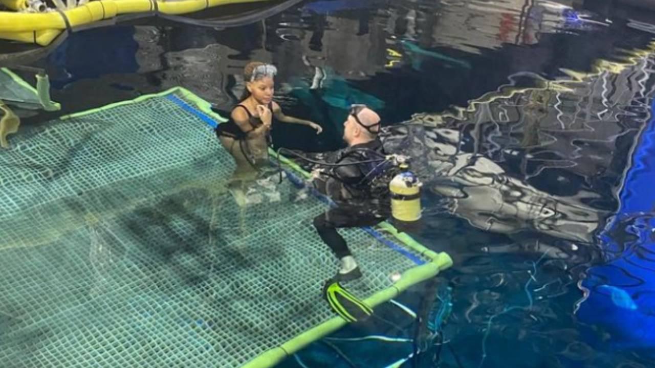 911fa33d24b50ffdd38ba4ddb3c5e01a