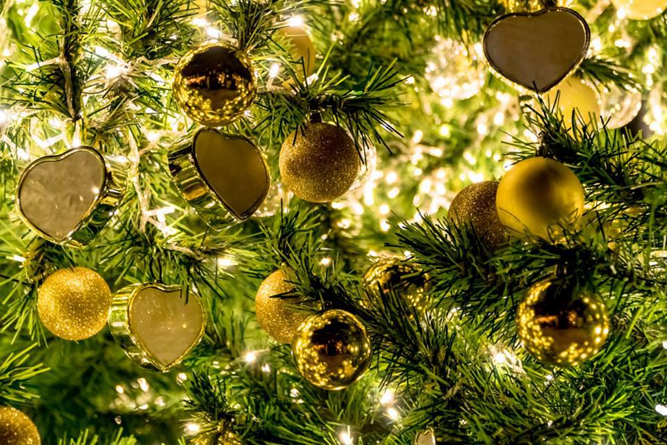 25289435_10154968812910811_5104990481714606459_n